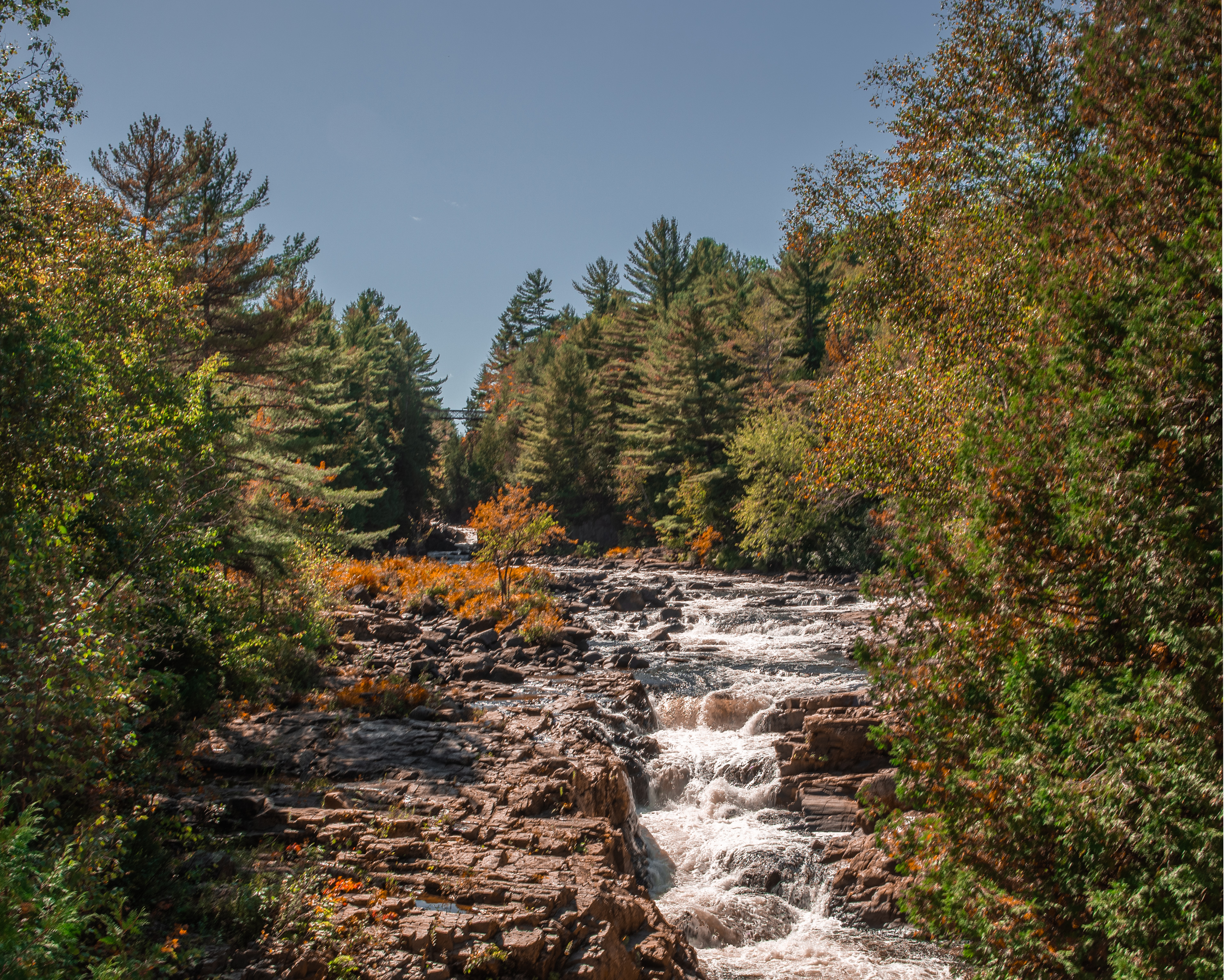 Une communité qui célèbre la nature